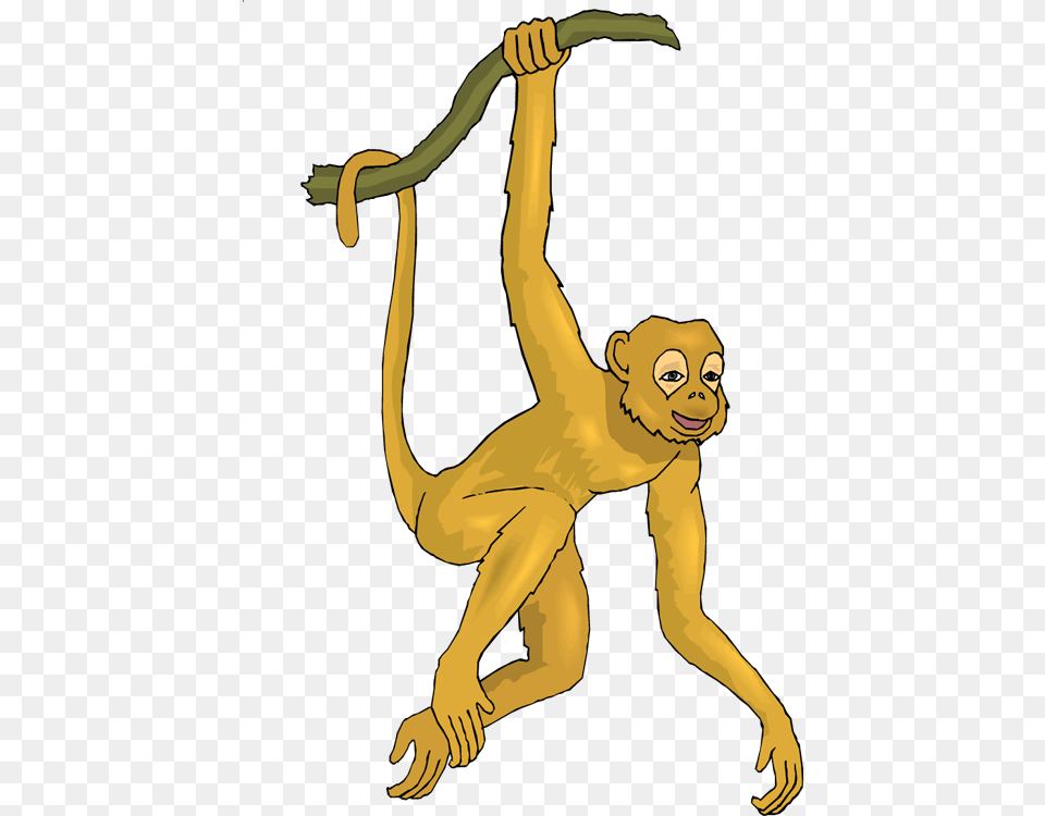 Monkey Clipart Spider Monkey Monkey Spider Monkey Realistic Monkey Clip Art, Adult, Female, Person, Woman Png Image