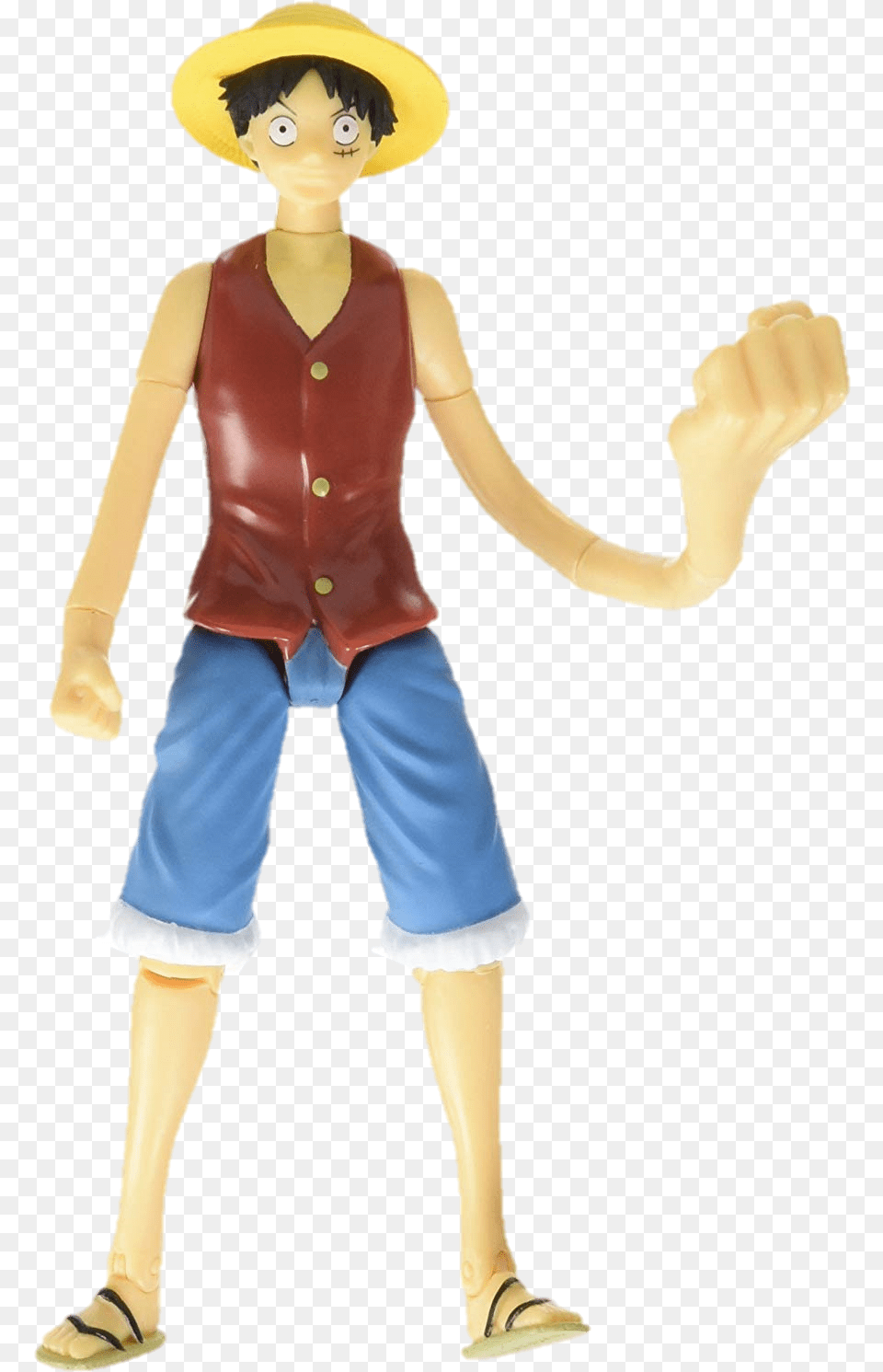 Monkey D Luffy, Boy, Child, Male, Person Free Png Download