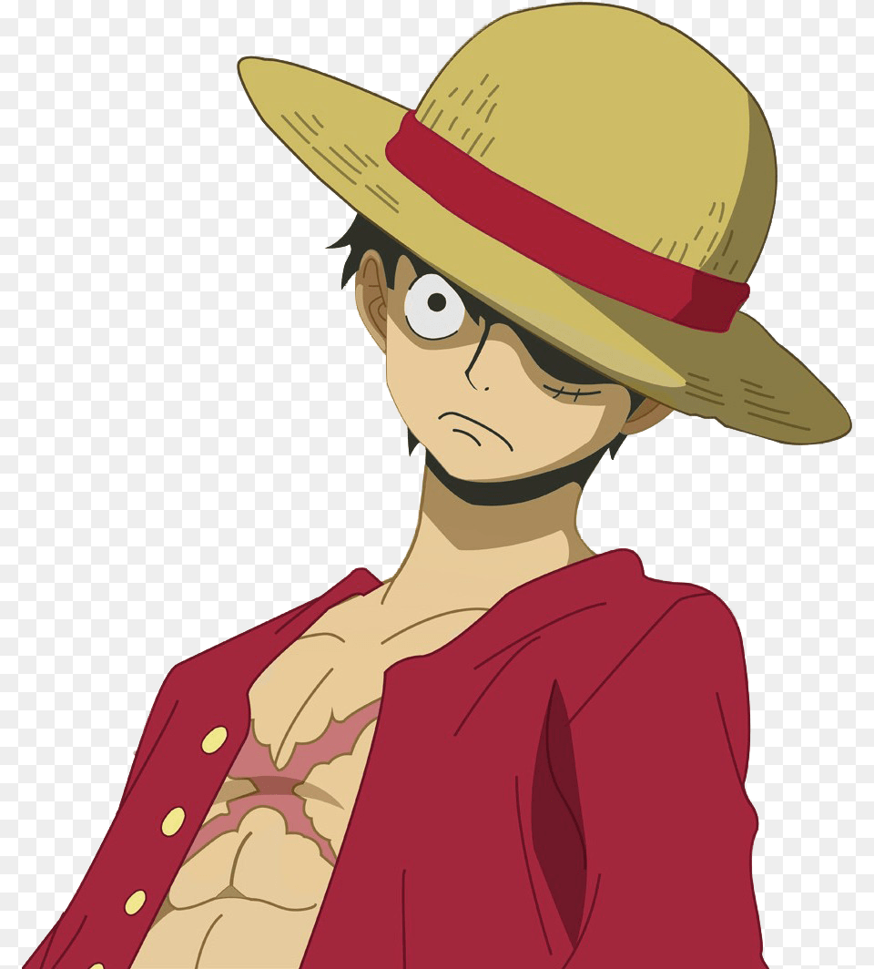 Monkey D Luffy File One Piece Luffy, Clothing, Hat, Sun Hat, Adult Png