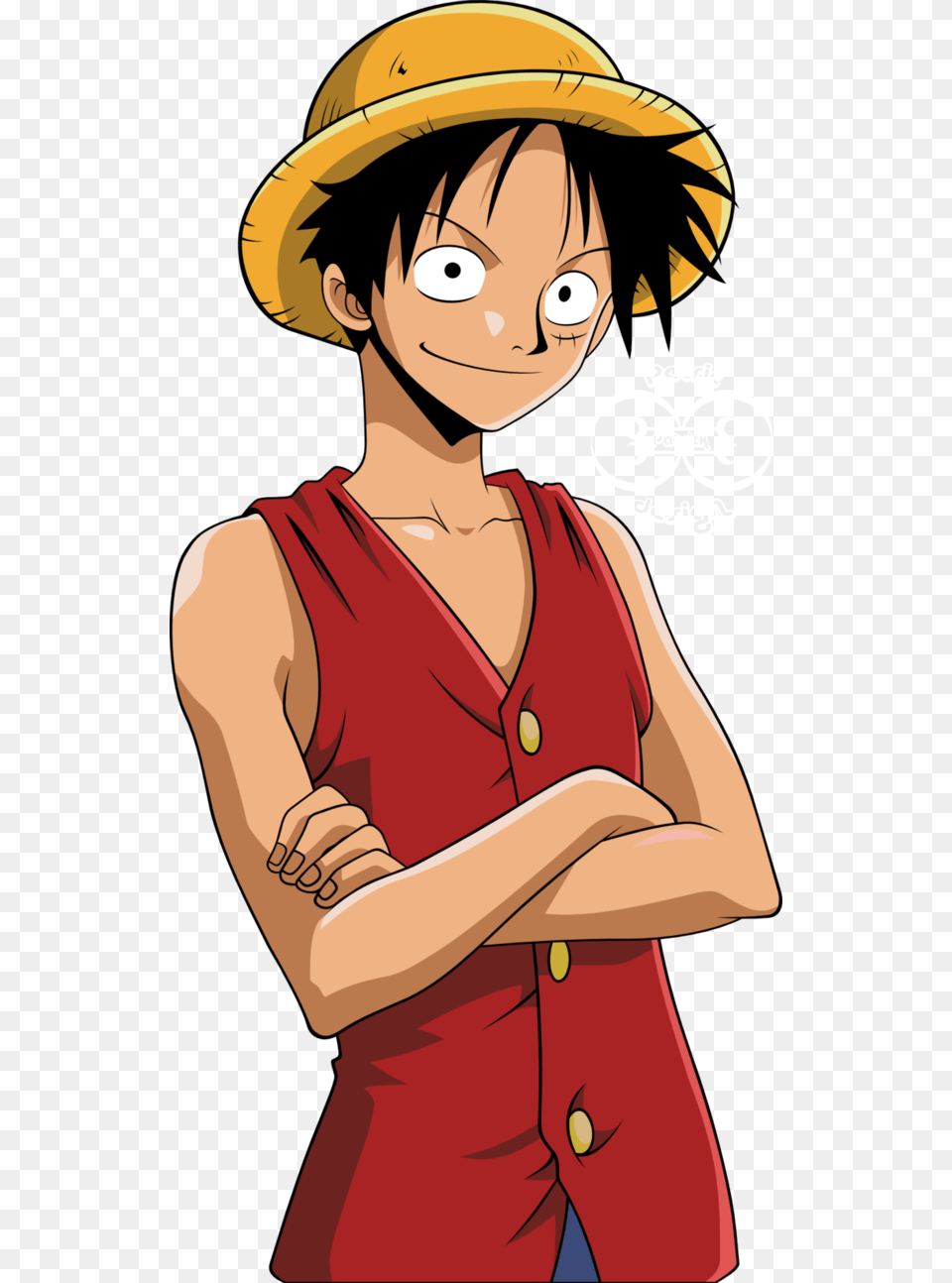 Monkey D Luffy Pic Monkey D Luffy, Adult, Book, Comics, Female Free Png Download