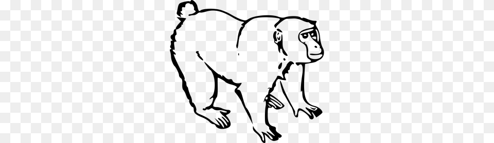 Monkey Face Clip Art Download, Animal, Mammal, Wildlife, Person Png