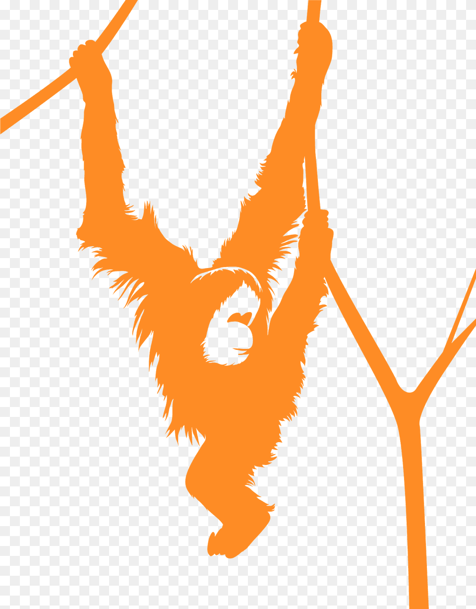 Monkey Hanging From A Tree Silhouette, Animal, Wildlife, Mammal, Ape Png Image