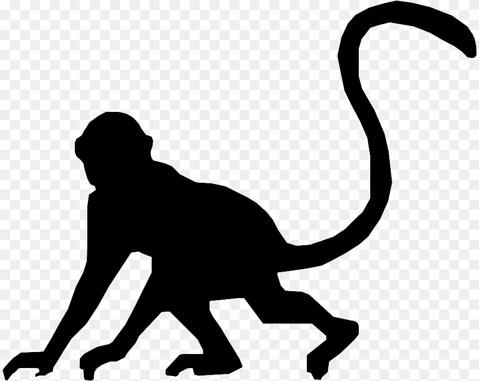 Monkey Head Silhouette At Getdrawings Silhouette Of A Monkey, Adult, Person, Man, Male Png Image