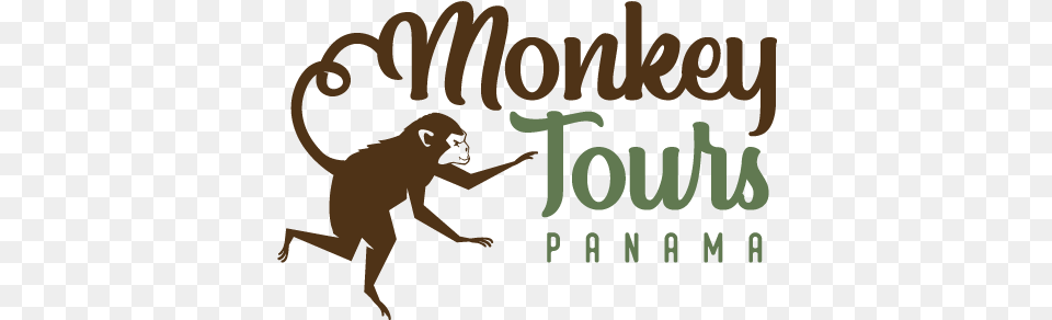 Monkey Illustration, Person, Animal, Wildlife, Mammal Png