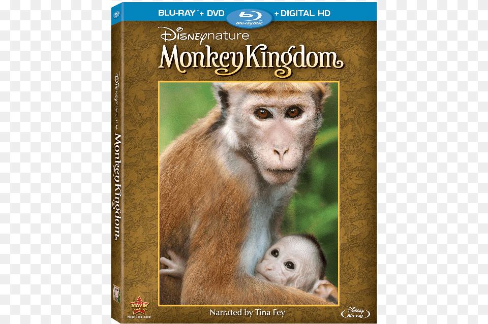Monkey Kingdom Disneynature Monkey Kingdom Blu Ray, Animal, Mammal, Wildlife, Baboon Free Png