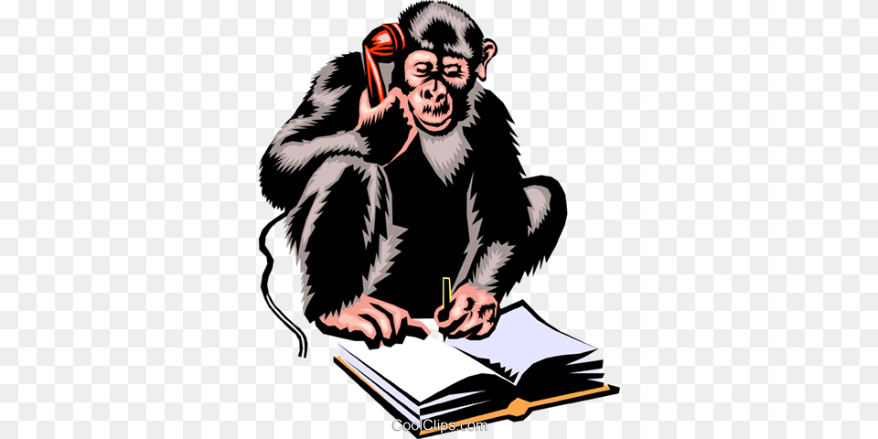 Monkey Monkey Funny Cartoon Hd, Adult, Person, Man, Mammal Free Transparent Png