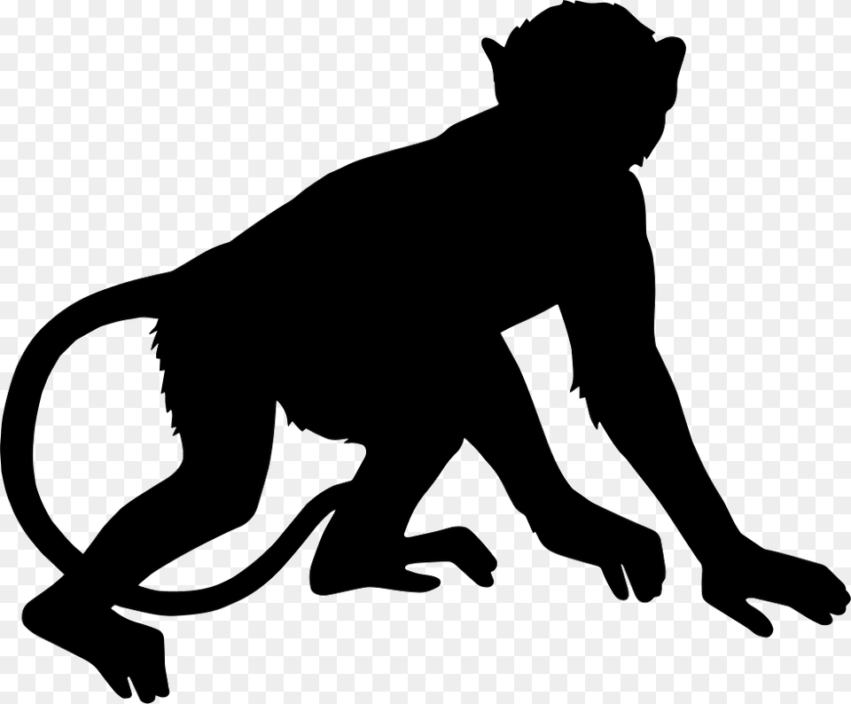 Monkey Mono Silueta, Silhouette, Stencil, Animal, Bear Png Image