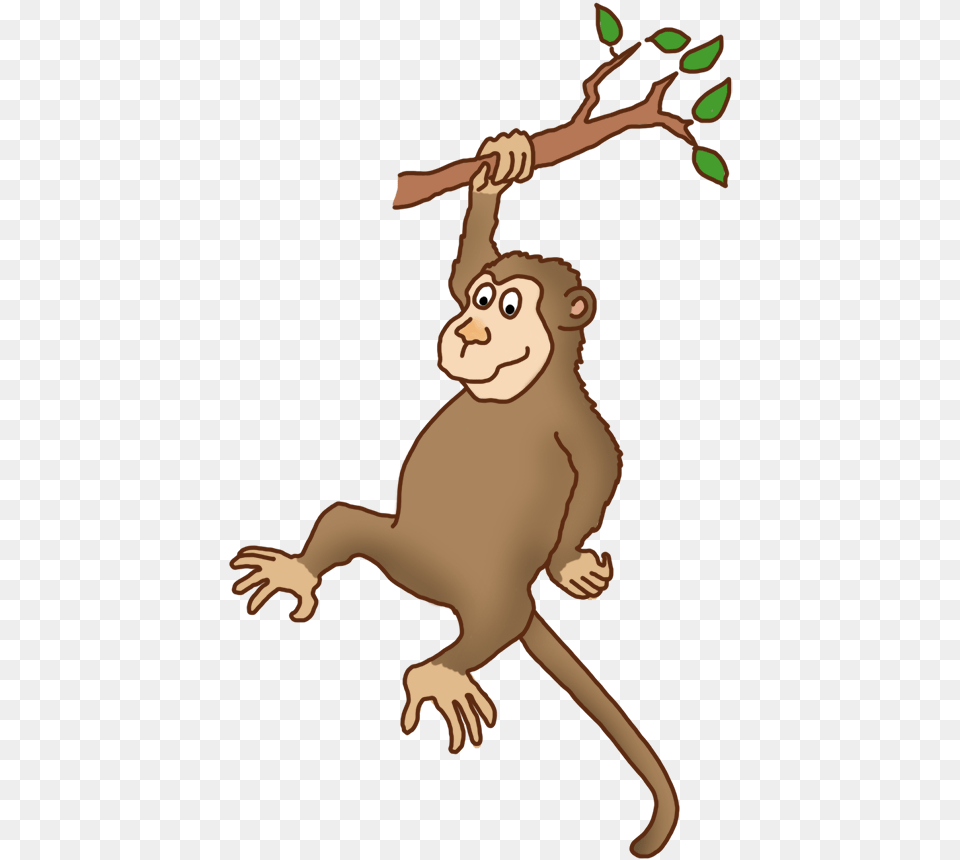 Monkey On Tree, Baby, Person, Face, Head Png