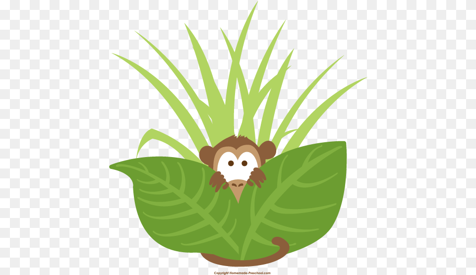 Monkey Peeking Out Pixels Peeking Monkey Clipart, Leaf, Plant, Vegetation, Green Free Png