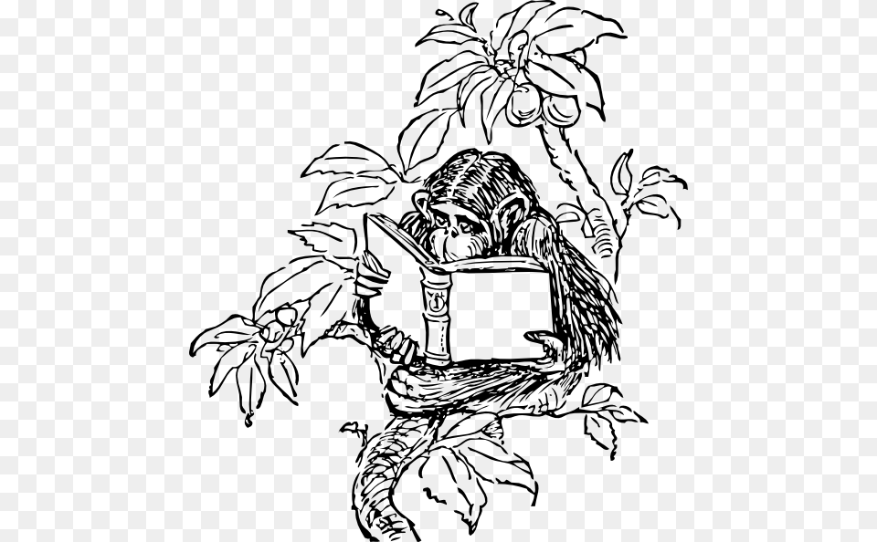 Monkey Reading Clip Art For Web, Drawing, Person, Book, Comics Free Png