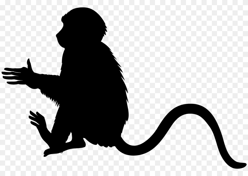 Monkey Silhouette, Person, Animal, Mammal, Kangaroo Free Png