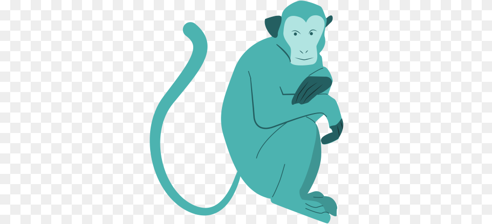 Monkey Background For Download Illustration, Adult, Male, Man, Person Free Transparent Png