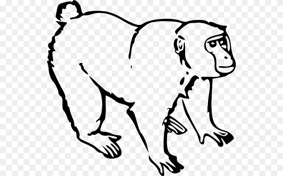Monkey With A Crown Clipart Svg Library Monkey Black And White, Animal, Mammal, Wildlife, Face Free Png Download