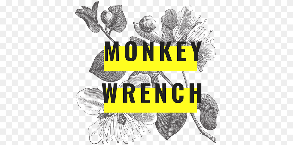 Monkey Wrench September Vibes, Art, Graphics, Flower, Person Png