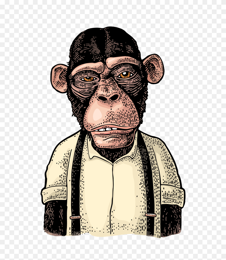 Monkeys Money, Adult, Person, Man, Male Free Png Download