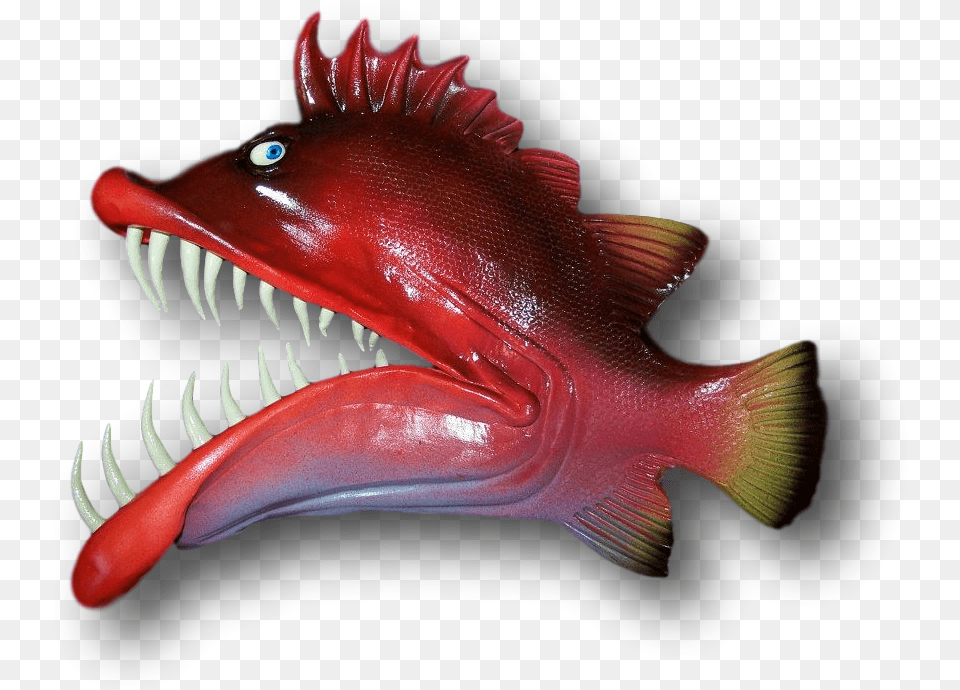 Monkfish, Animal, Fish, Sea Life, Electronics Png