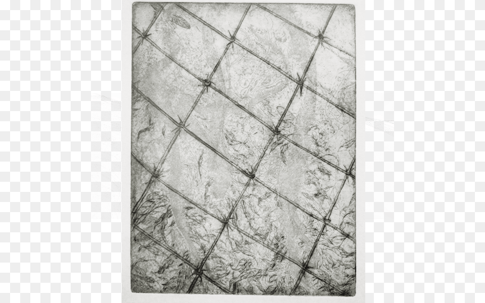 Monochrome, Home Decor, Rug, Plant Png Image