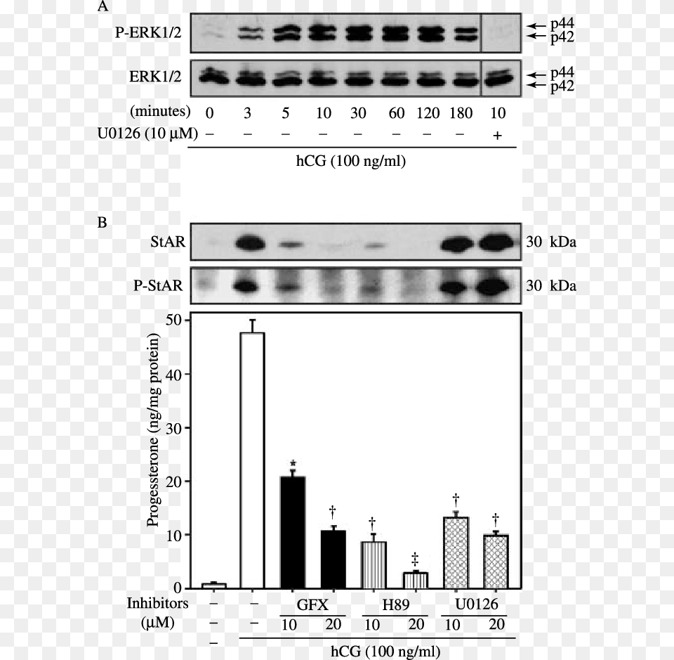 Monochrome, Chart, Plot Png