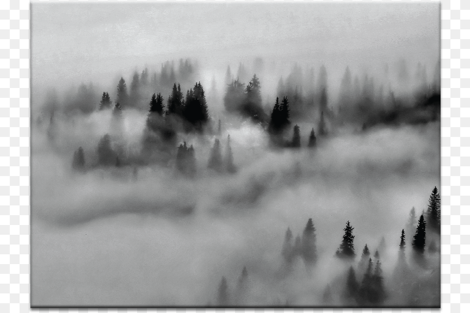 Monochrome, Fog, Mist, Nature, Outdoors Png Image