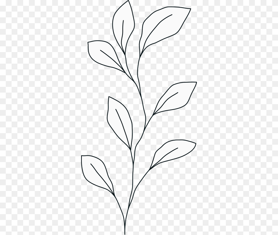 Monochrome, Leaf, Plant, Art, Annonaceae Free Transparent Png