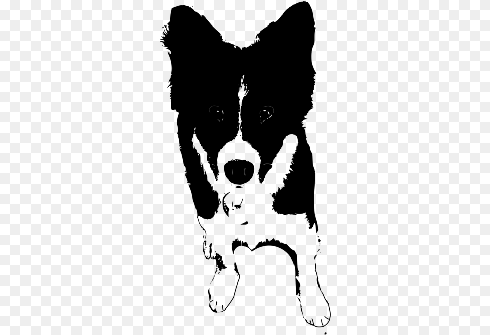 Monochrome Breed Dogs Clipart Black And White Collie, Silhouette Free Png