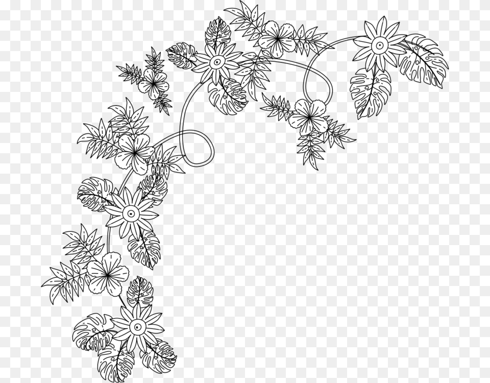 Monochrome Flower Decoration Line, Art, Floral Design, Graphics, Pattern Png