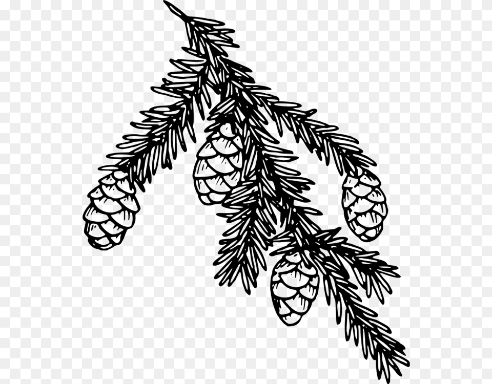 Monochrome Hemlock Poison Icon, Gray Free Png