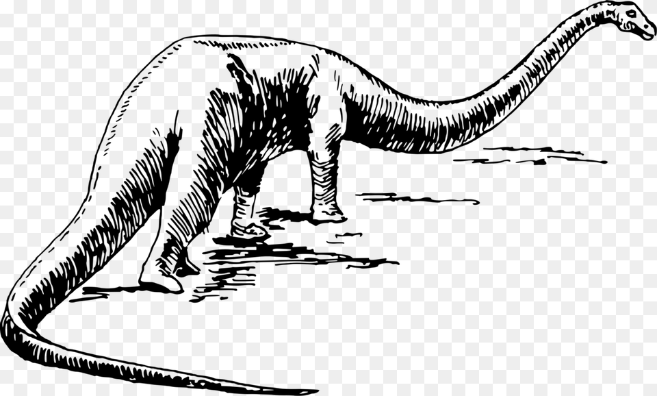 Monochrome Like Mammal Black And White Dinosaur Vectors, Gray Free Transparent Png