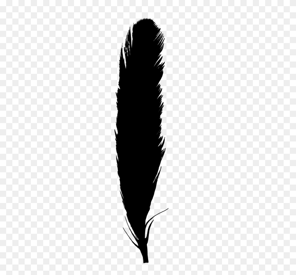 Monochrome Photography Feather Quill, Gray Png Image