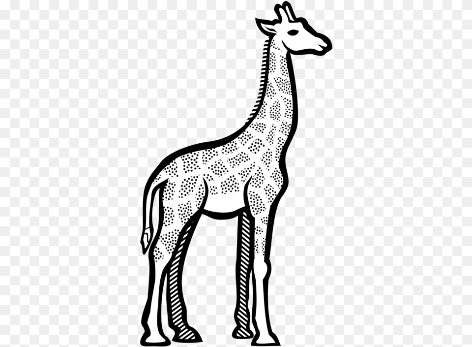 Monochrome Photographyartworkdeer Clipart Image Of Giraffe, Animal, Mammal, Wildlife, Clothing Png