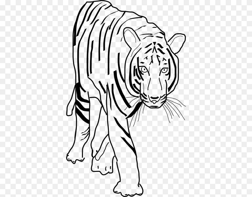 Monochrome Tiger Black N White Clipart, Gray Free Transparent Png