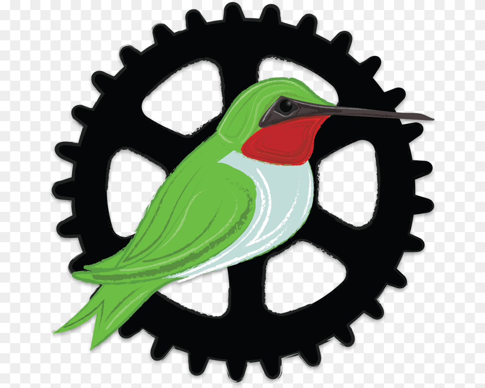 Monocorona Sram, Animal, Beak, Bird, Hummingbird Free Transparent Png