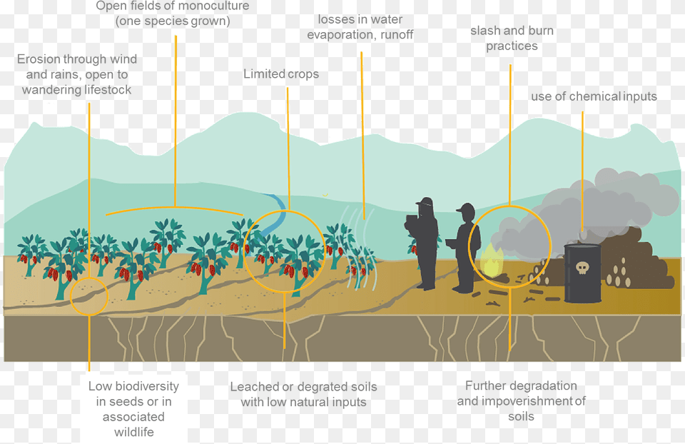 Monoculture, Agriculture, Countryside, Field, Nature Free Transparent Png