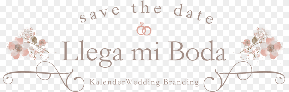 Monograma De Boda Wedding, Text Png