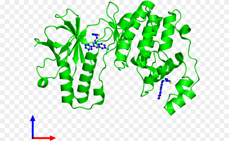 Monomeric Assembly 1 Of Pdb Entry 5n65 Coloured By Protein Data Bank, Light, Dynamite, Weapon Free Transparent Png