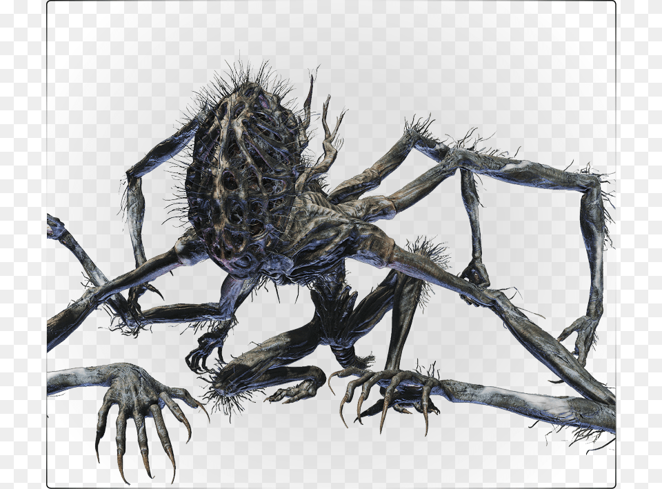 Monster Design Monster Art Lovecraftian Horror Character Bloodborne Amygdala Art, Animal, Invertebrate, Spider, Electronics Png Image