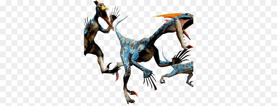 Monster Hunter Bird Wyverns, Dragon, Animal, Dinosaur, Reptile Png