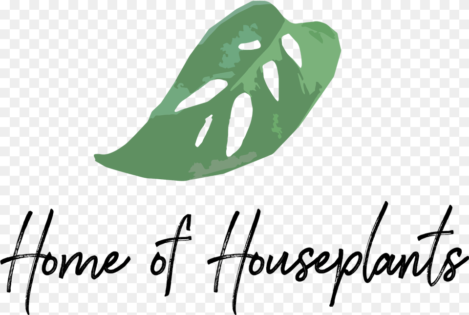 Monstera Adansonii Download House Plants Logo, Leaf, Plant, Animal, Fish Png