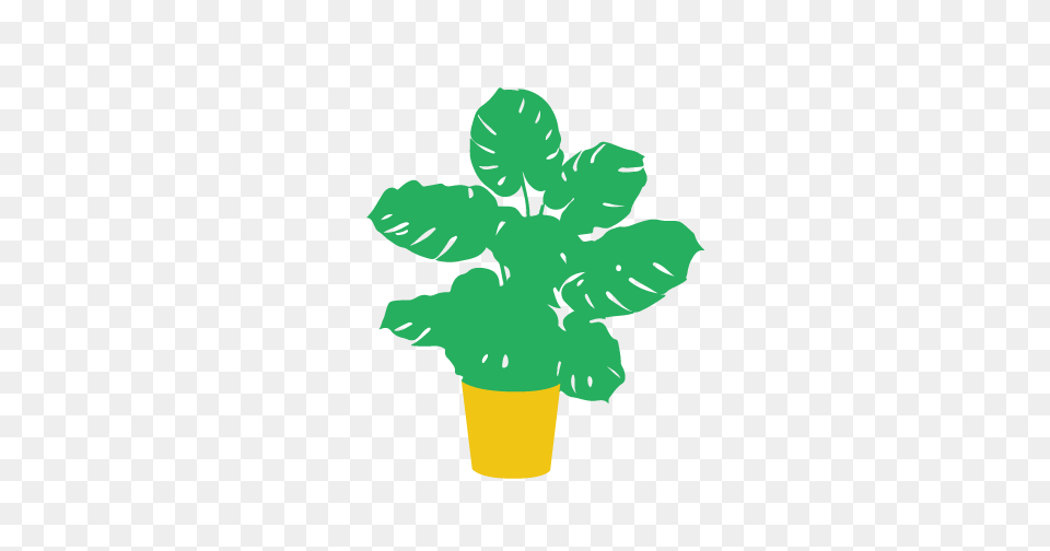 Monstera Deliciosa, Vase, Pottery, Potted Plant, Planter Png