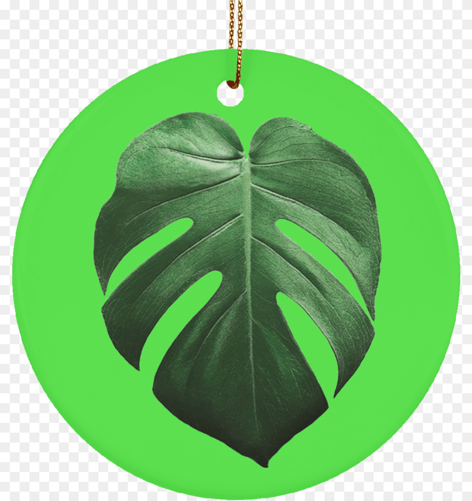 Monstera Deliciosa Ceramic Tropical Leaf Ornament Swiss Cheese Plant, Accessories Free Png Download
