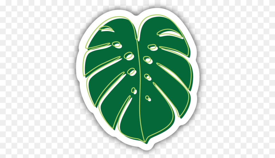 Monstera Deliciosa Leaf Heart, Plant, Green, Ammunition, Grenade Png Image
