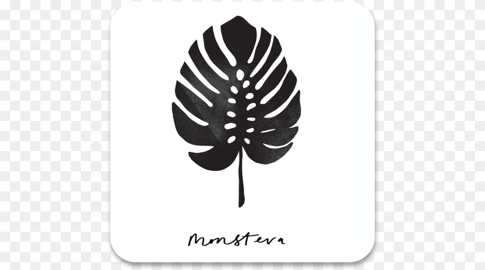 Monstera Leaf Coaster Christmas Tree, Plant, Stencil, Fern Png