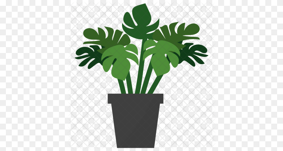 Monstera Potted Plant Icon Flowerpot, Potted Plant, Planter, Tree, Vase Free Transparent Png