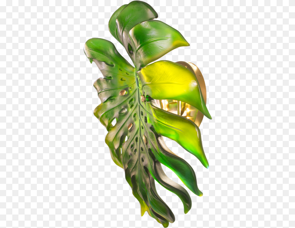 Monstera Small Wall Lamp, Accessories, Leaf, Plant, Gemstone Free Transparent Png