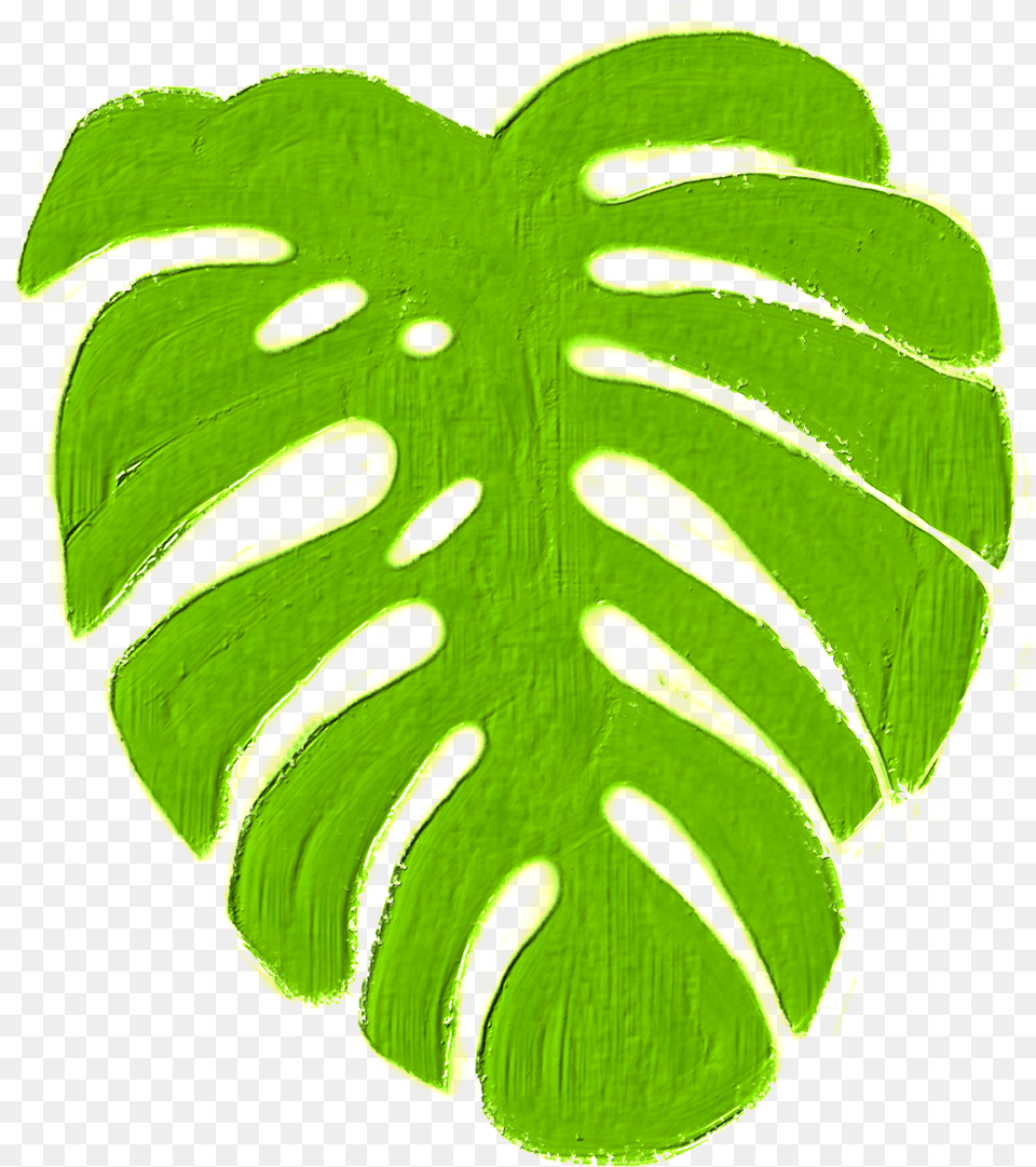 Monstera Tropics Plant Green Jungle Island Warm Symmetry, Leaf Free Transparent Png