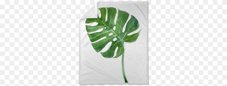 Monstera Vector, Leaf, Plant Free Transparent Png