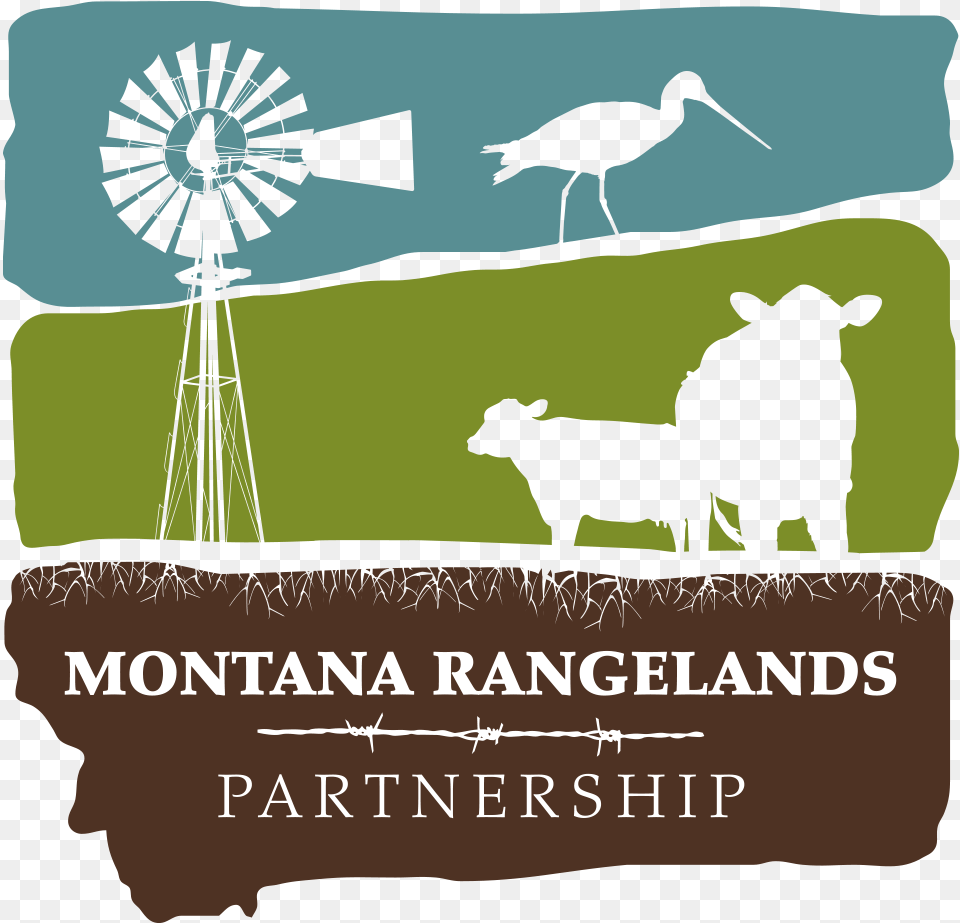 Montana Rangelands Partnership Illustration, Animal, Cattle, Cow, Livestock Free Png