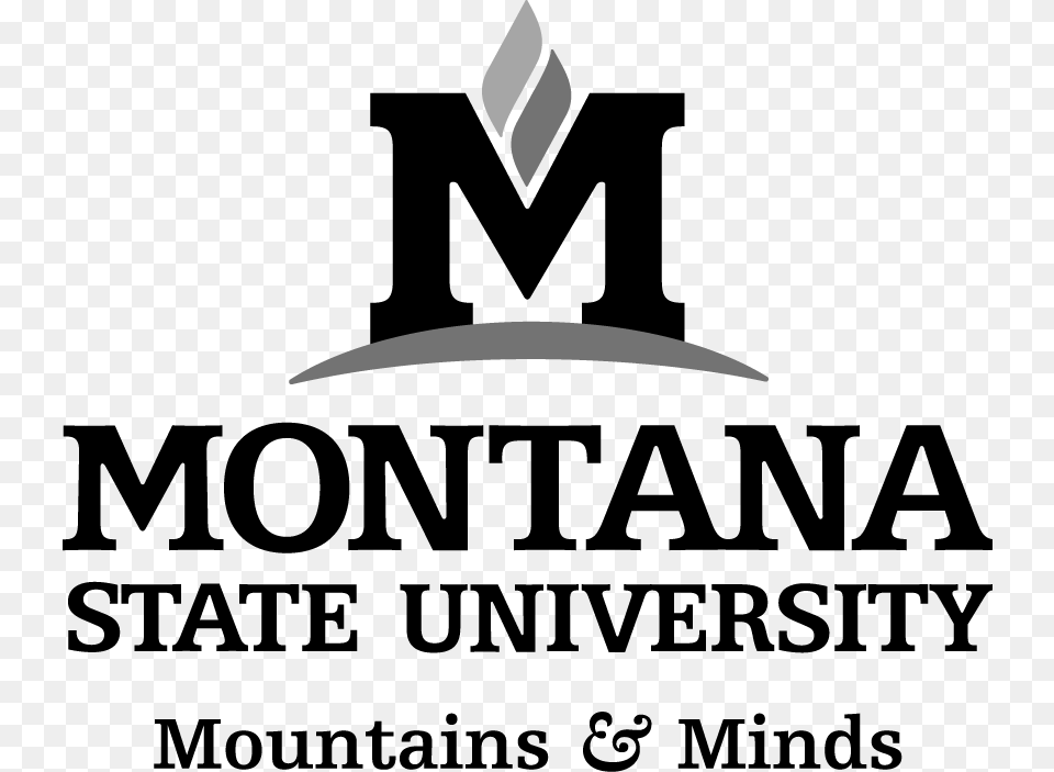 Montana State University, Accessories, Formal Wear, Tie, Blade Png Image