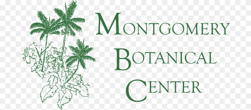 Montgomery Botanical Center, Green, Vegetation, Plant, Leaf Free Png Download