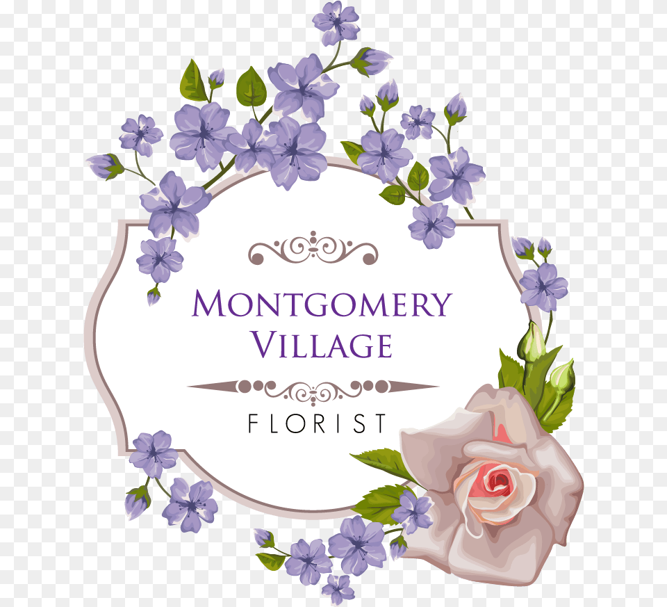 Montgomery Village Florist Inc Garden Roses, Rose, Plant, Petal, Mail Free Png Download